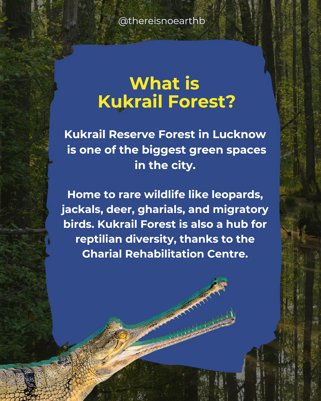 Kukrail Forest image